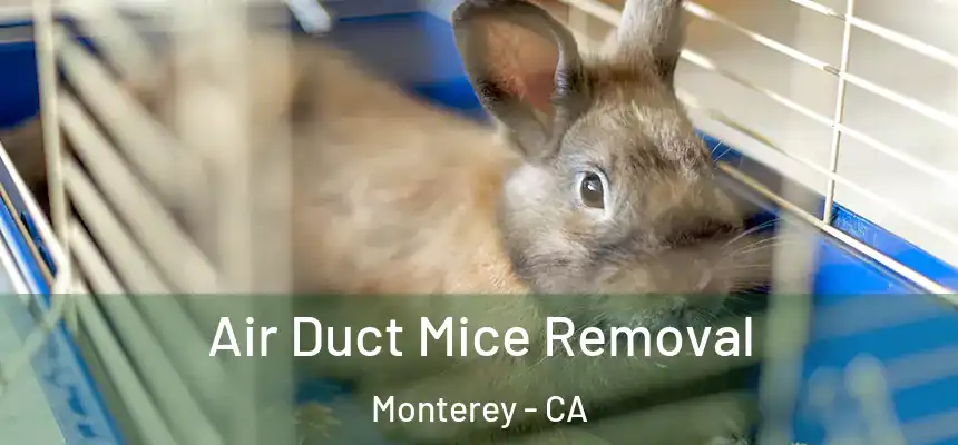  Air Duct Mice Removal Monterey - CA
