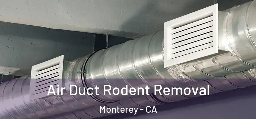 Air Duct Rodent Removal Monterey - CA