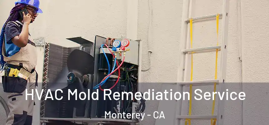 HVAC Mold Remediation Service Monterey - CA