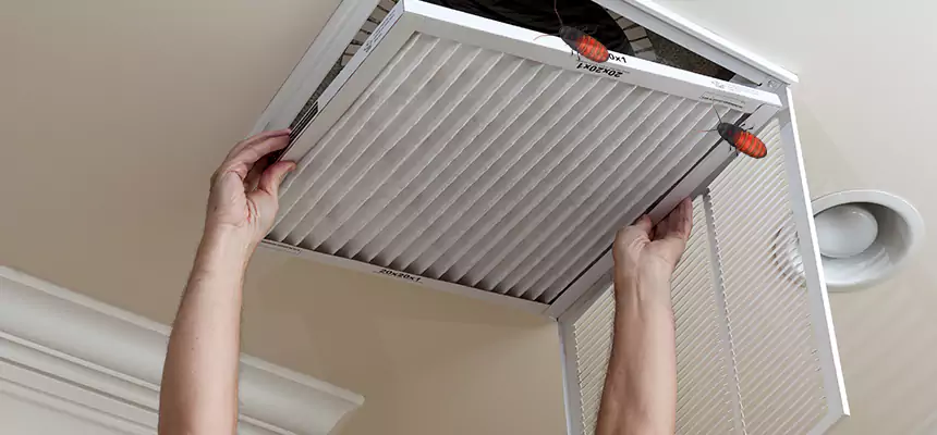 Preventive Cockroach-Proofing for Ducts in Monterey