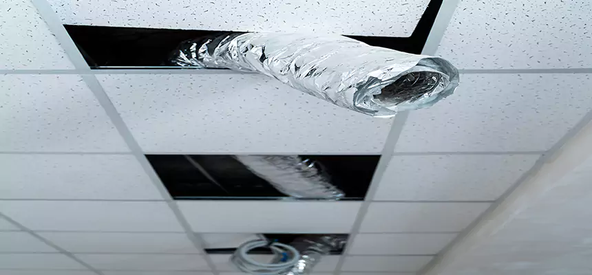 Our Air Duct Pet Hair Removal Services in Monterey, CA