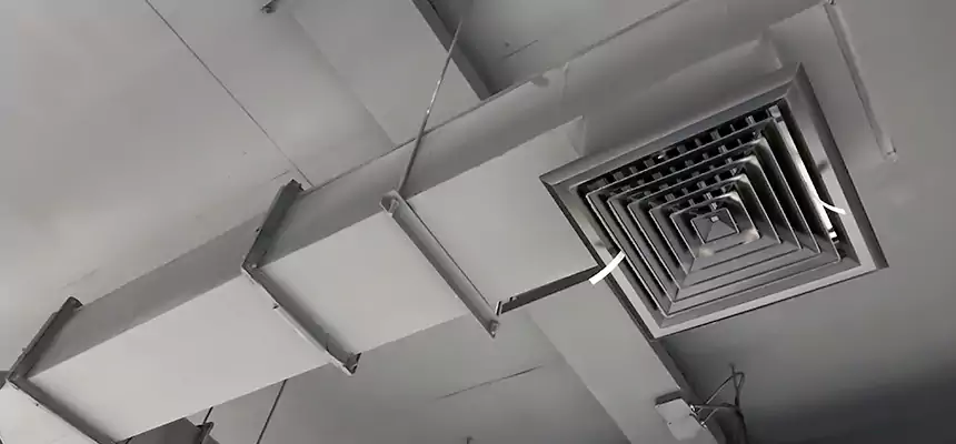 Our Rodent Droppings In Vents Services in Monterey, CA