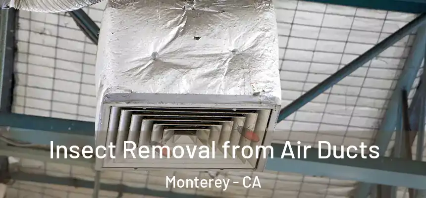  Insect Removal from Air Ducts Monterey - CA